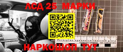 гидра Славгород