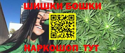 гидра Славгород