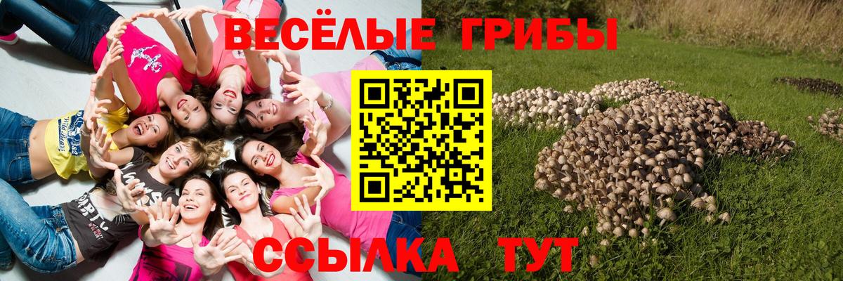 Мариинск  Галлюциногенные грибы Psilocybine cubensis  Вход с VPN 